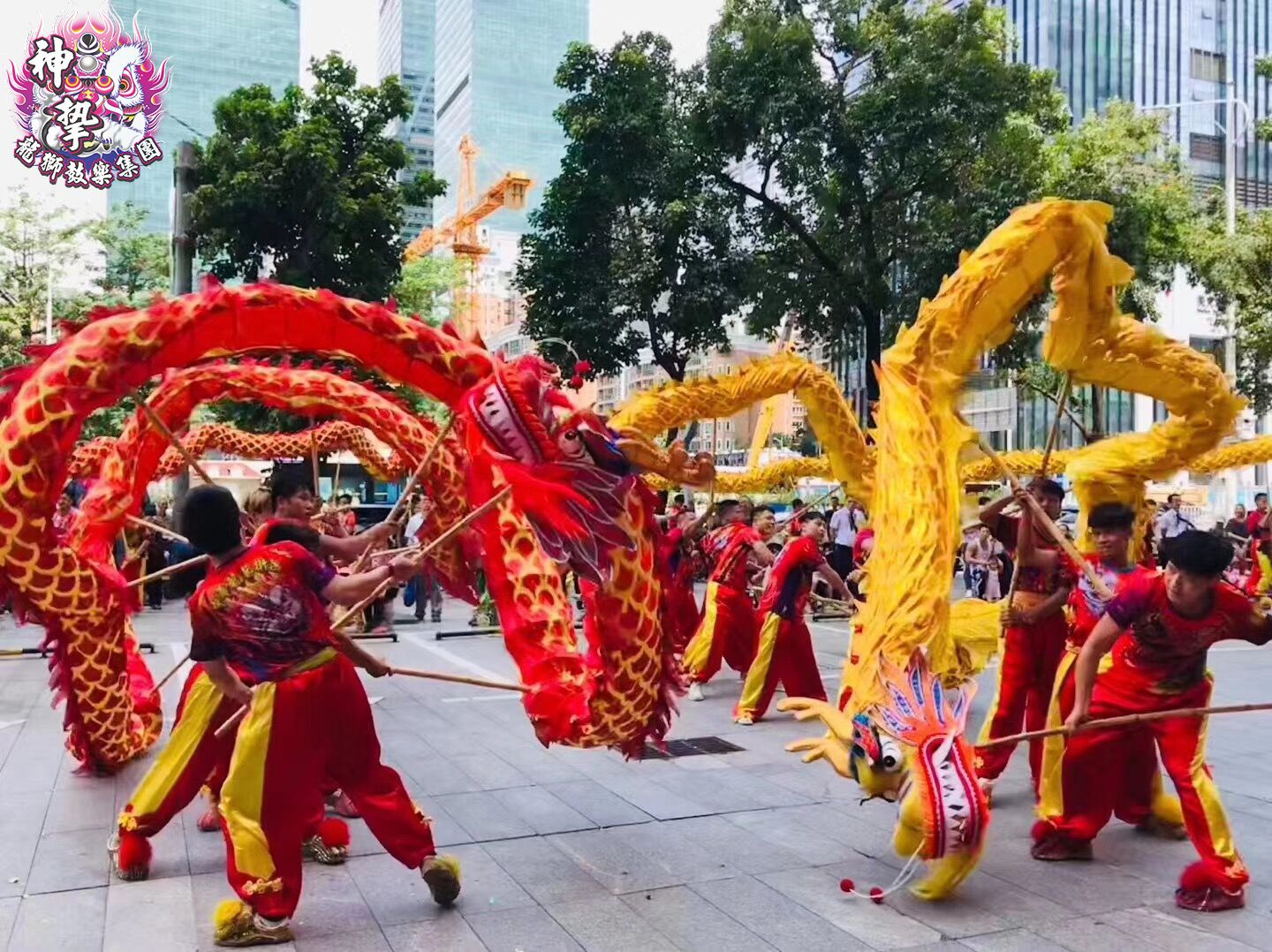 舞丨龙 DRAGON DANCE(图1)